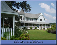Blue Mountain Mist